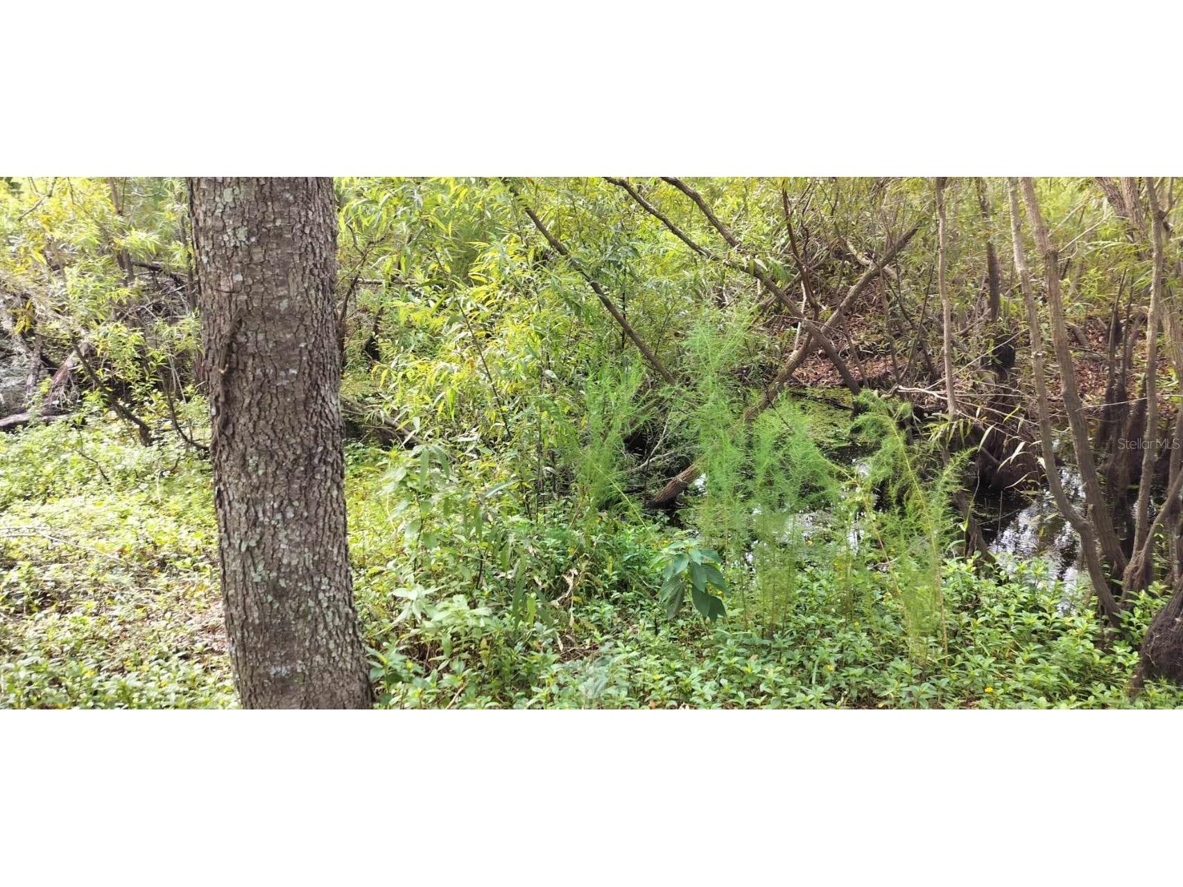 96 N Sheltering Oaks Drive Inverness FL 34453 T3551083 image20