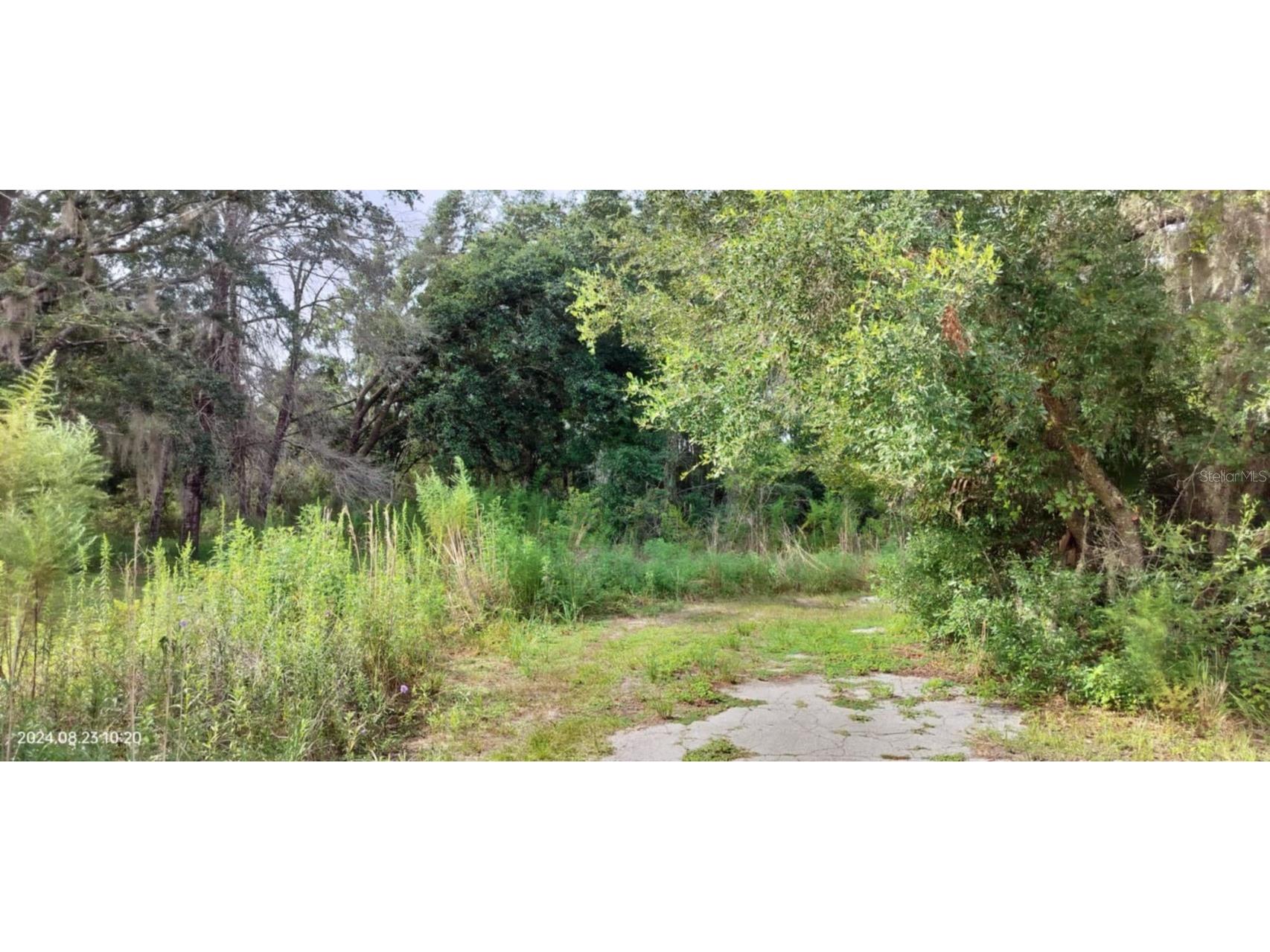 96 N Sheltering Oaks Drive Inverness FL 34453 T3551083 image22