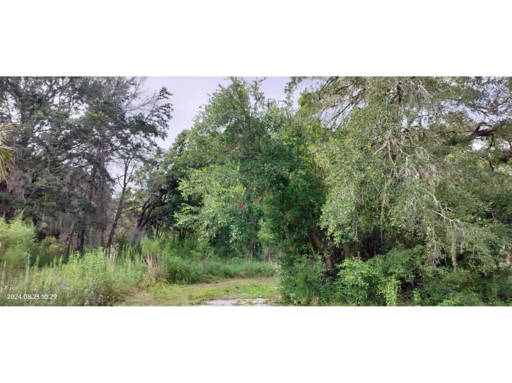 96 N Sheltering Oaks Drive Inverness FL 34453 T3551083 image24