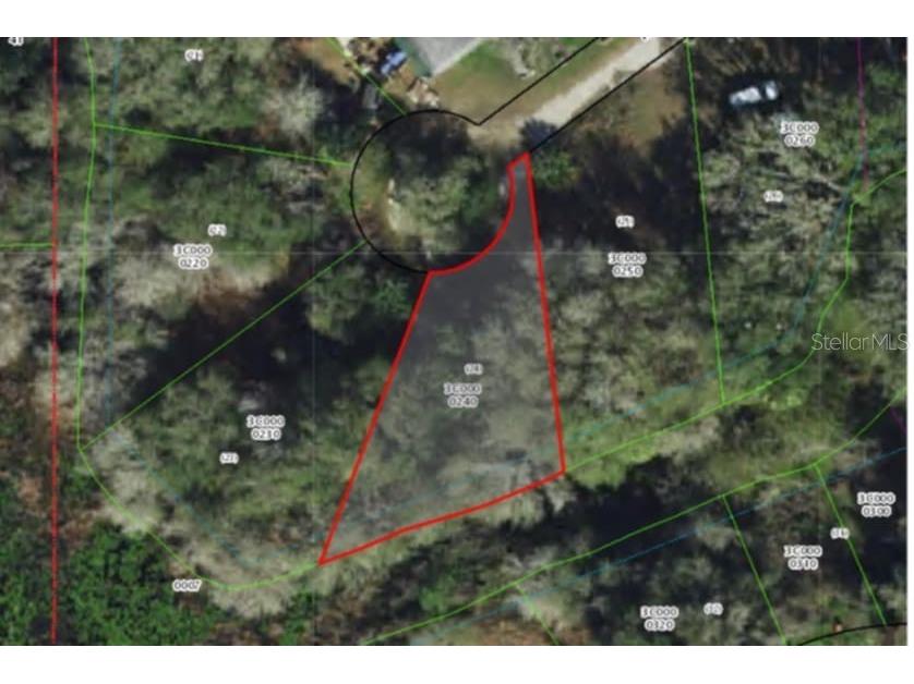 96 N Sheltering Oaks Drive Inverness FL 34453 T3551083 image3