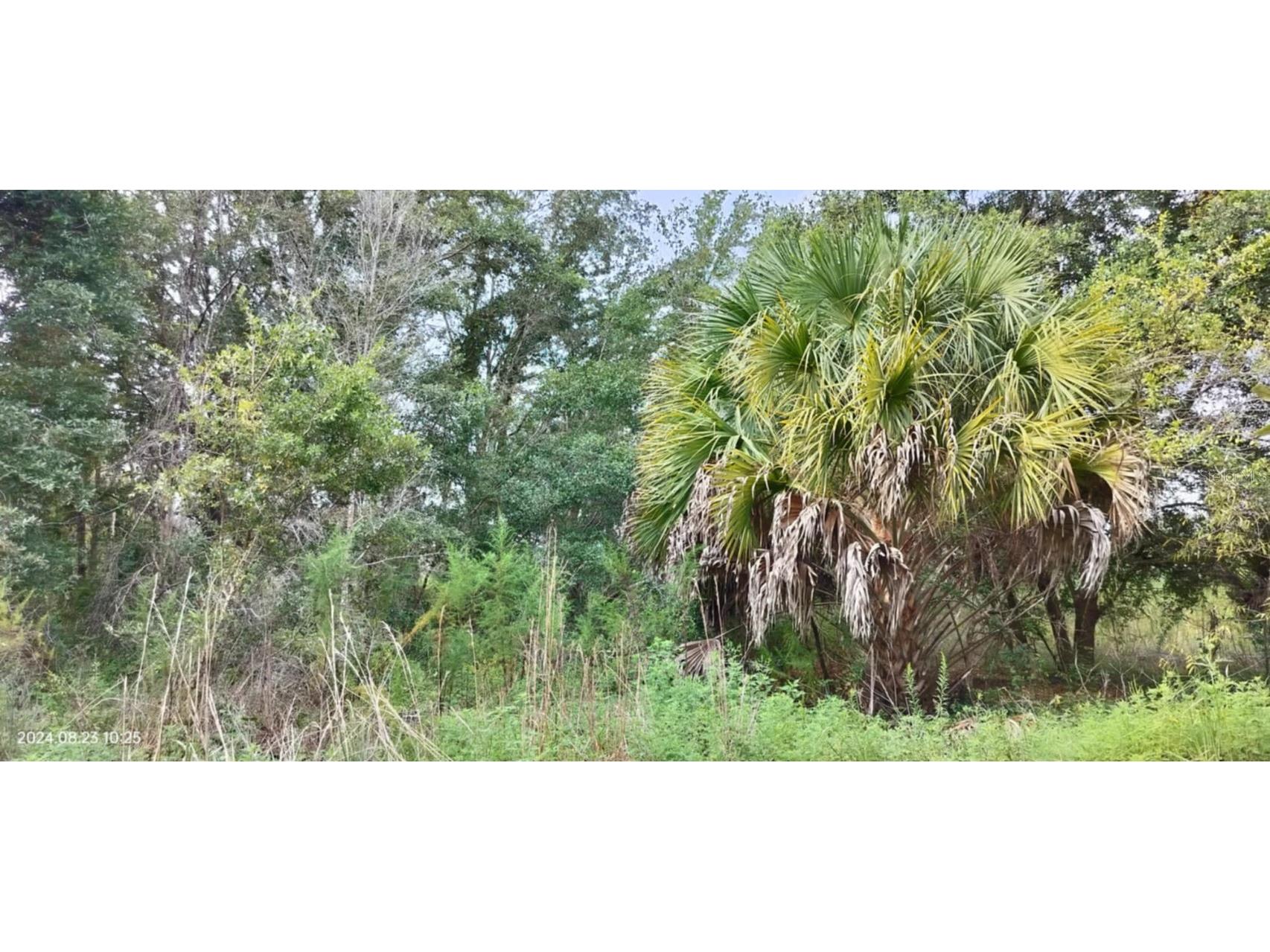 96 N Sheltering Oaks Drive Inverness FL 34453 T3551083 image5