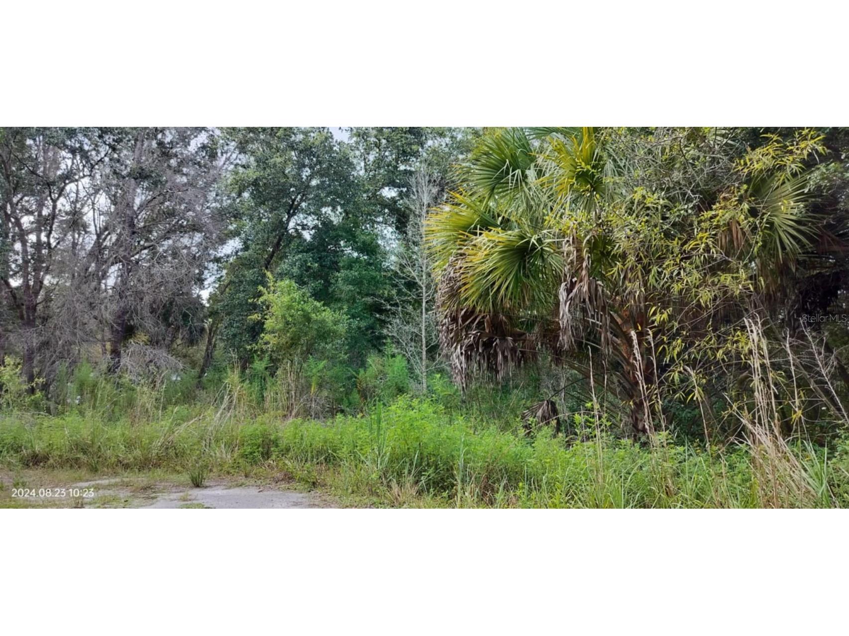 96 N Sheltering Oaks Drive Inverness FL 34453 T3551083 image6