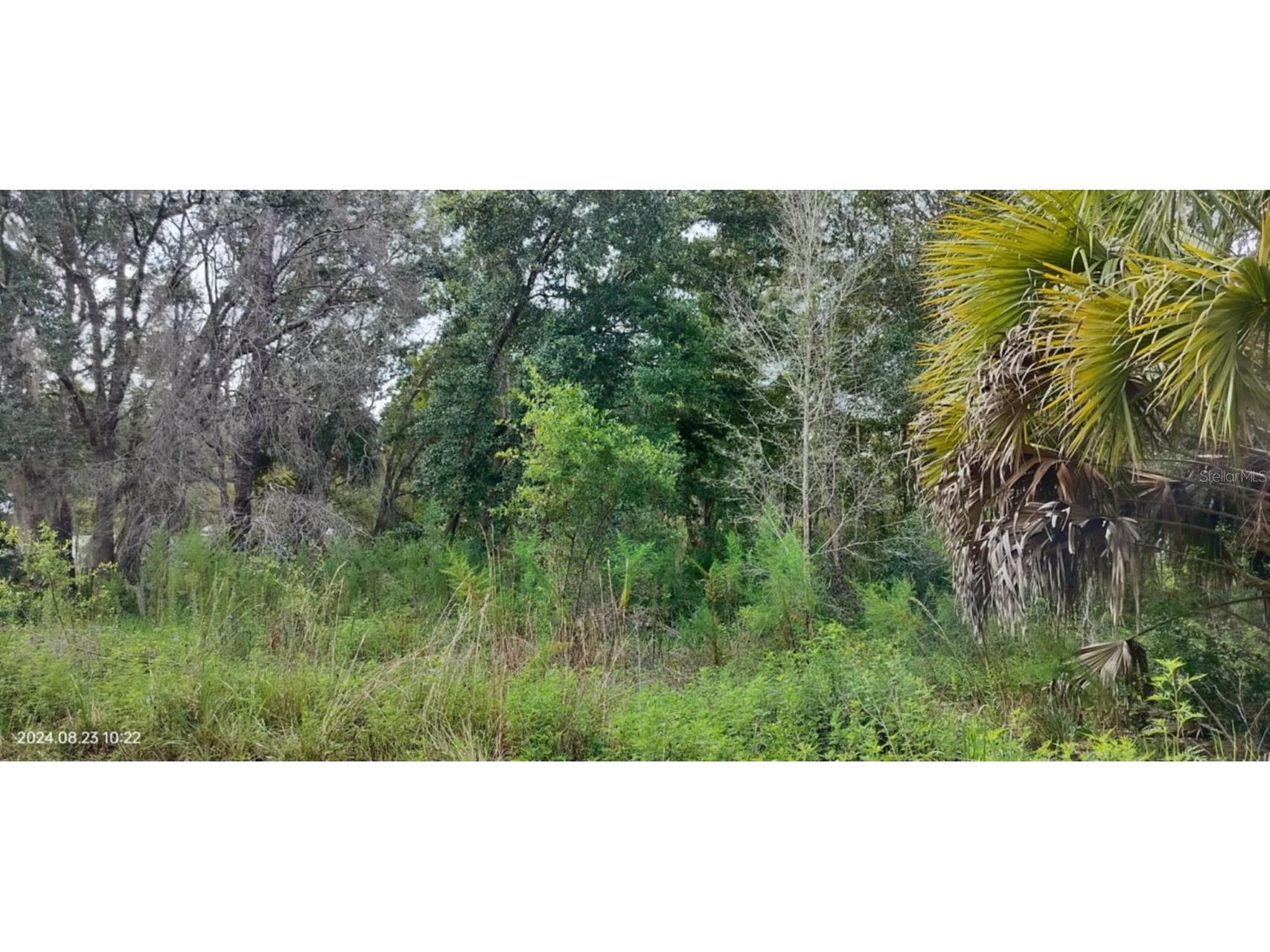 96 N Sheltering Oaks Drive Inverness FL 34453 T3551083 image7