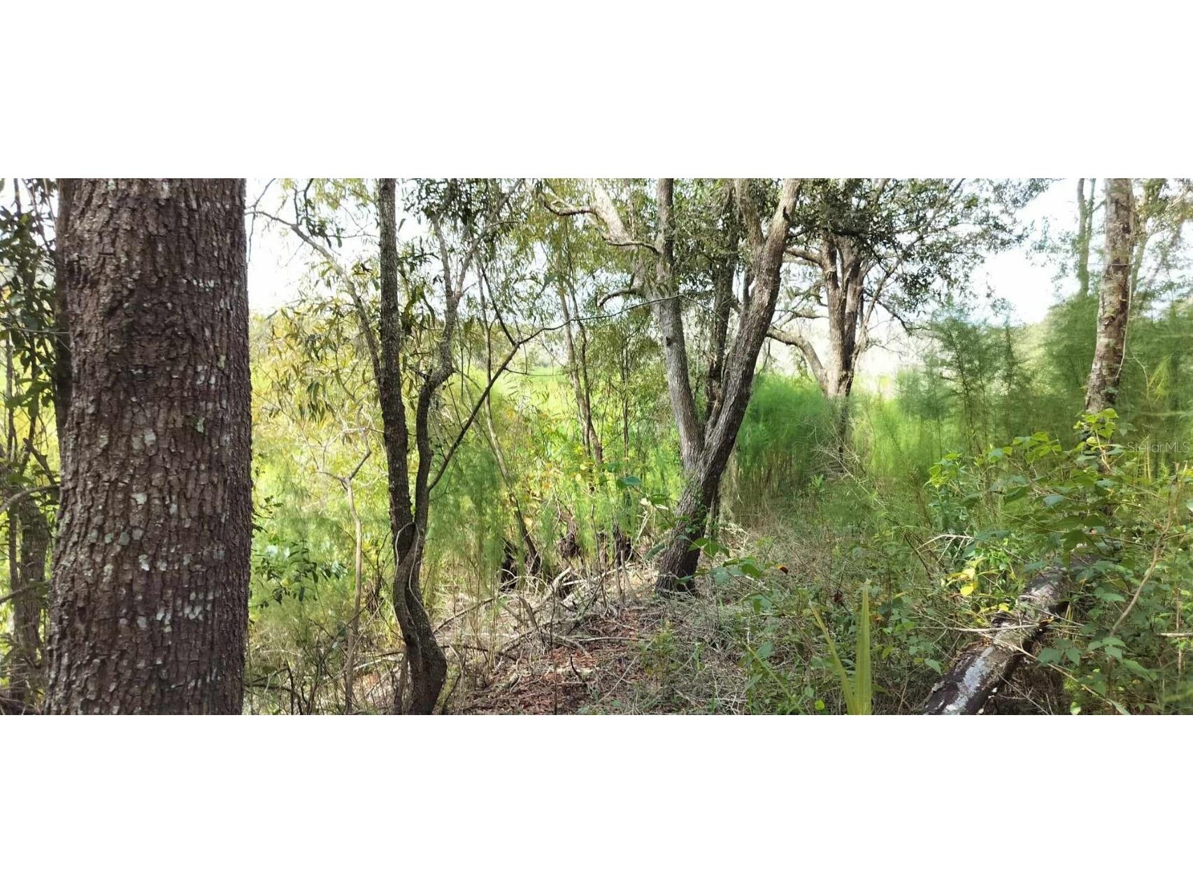 96 N Sheltering Oaks Drive Inverness FL 34453 T3551083 image9