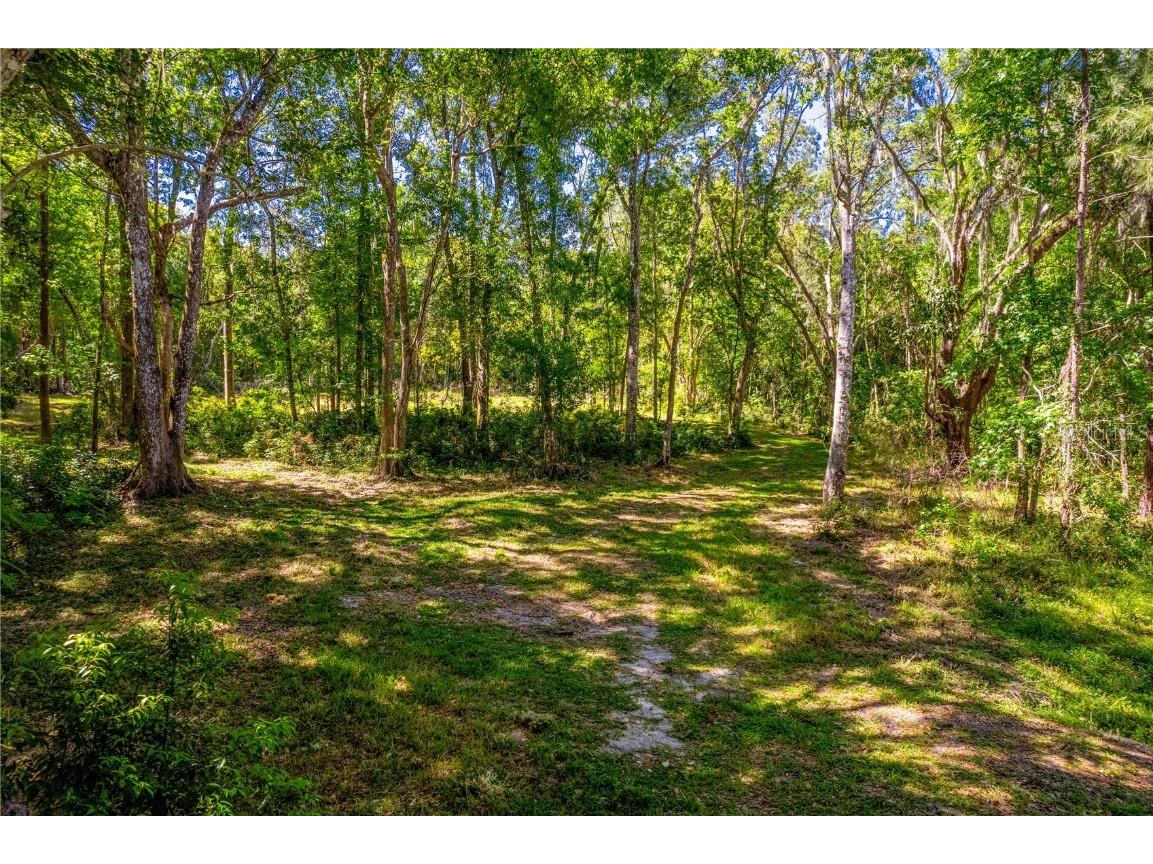 96 Oak Street Brooksville FL 34601 T3447866 image1