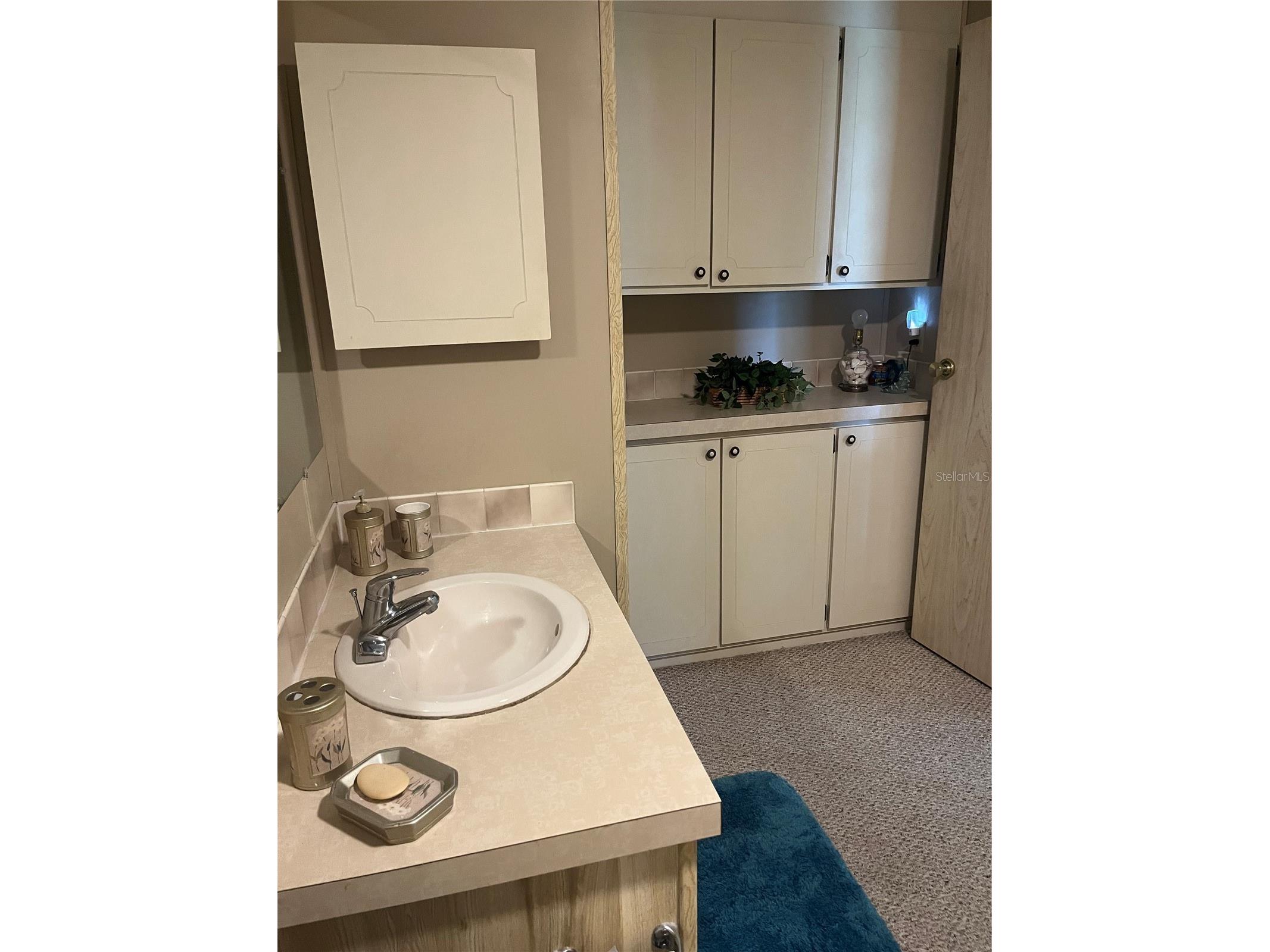 96 Parson Drive Winter Haven FL 33884 L4958714 image22