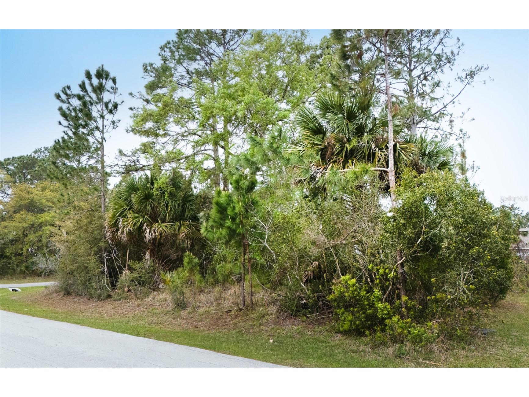 96 Presidential Lane Palm Coast FL 32164 FC317221 image3