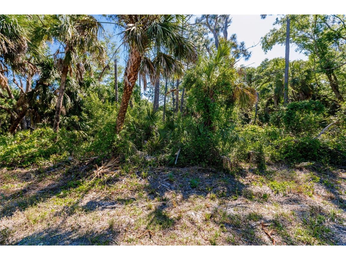 96 Stevensville Street Port Charlotte FL 33954 NS1080991 image1