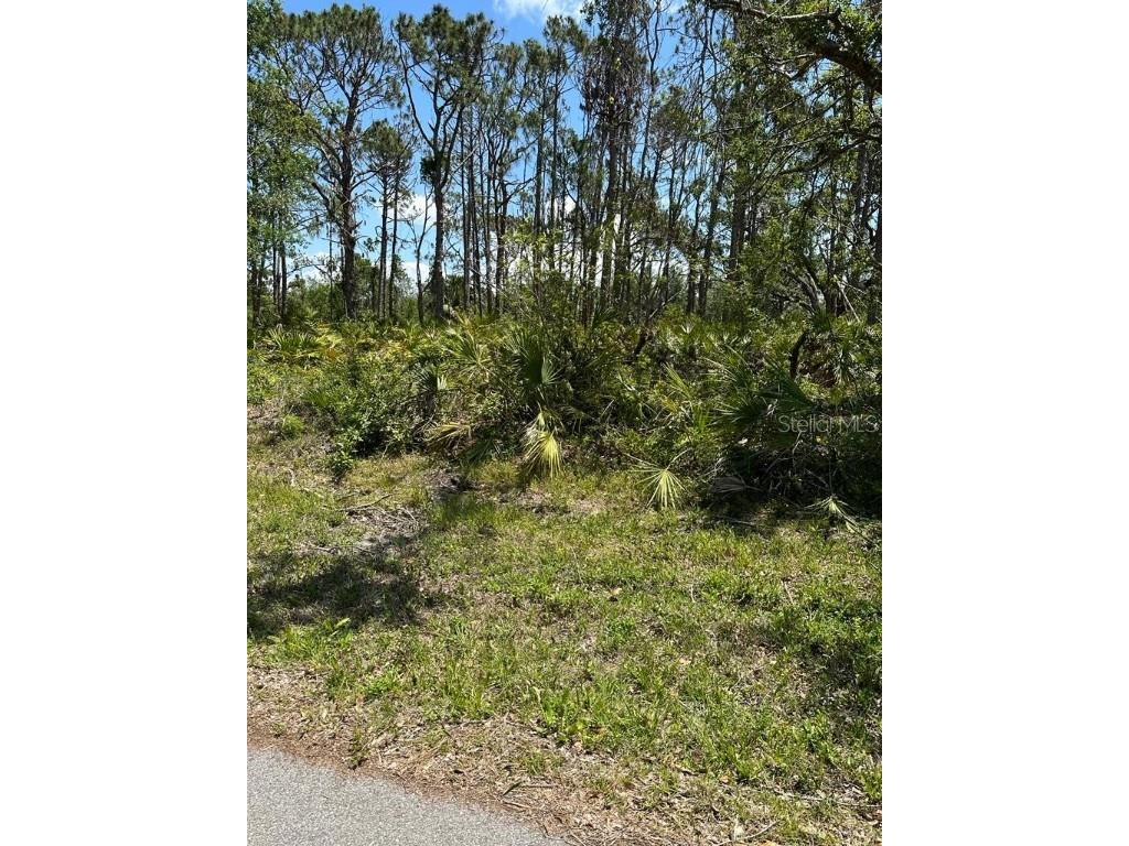 96 Westmore Street Port Charlotte FL 33953 O6117512 image1