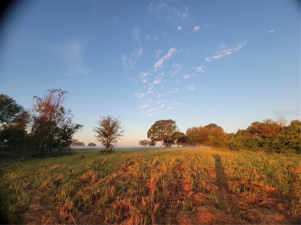 960 Albritton Way Lake Wales FL 33859 - LAKE PARKER P4923689 image3