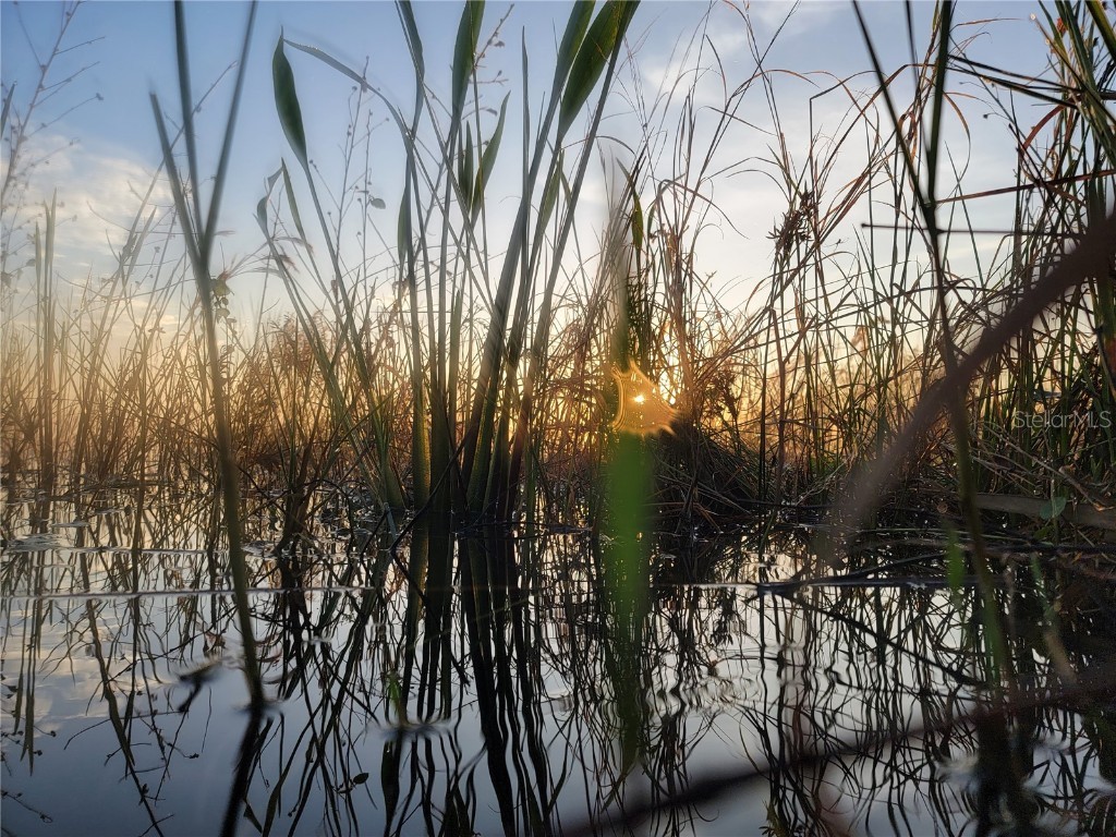 960 Albritton Way Lake Wales FL 33859 - LAKE PARKER P4923689 image6