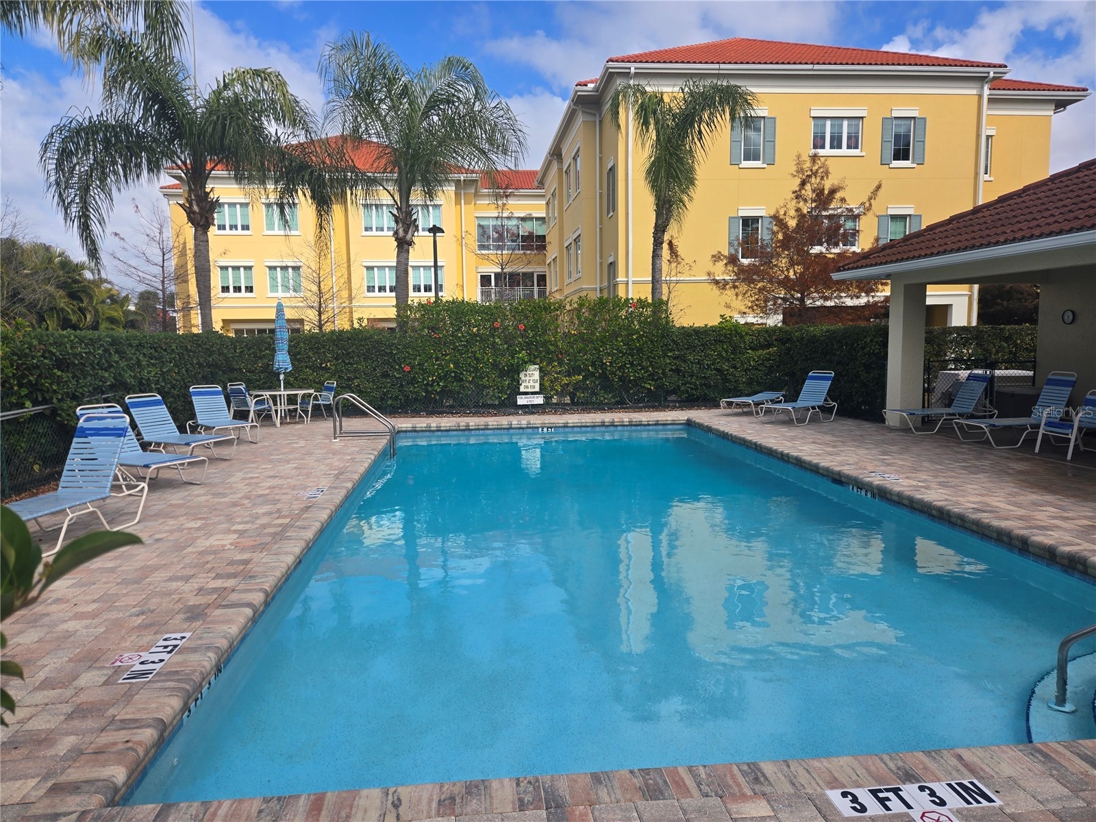 960 Cooper Street #203 Venice FL 34285 TB8471382 image32