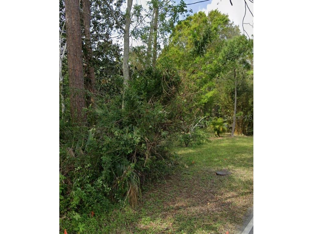 960 Mcdonald Port Orange FL 32129 NS1086495 image2