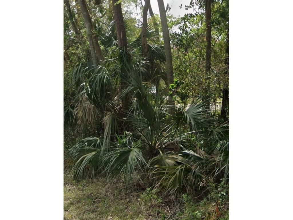 960 Mcdonald Port Orange FL 32129 NS1086495 image3