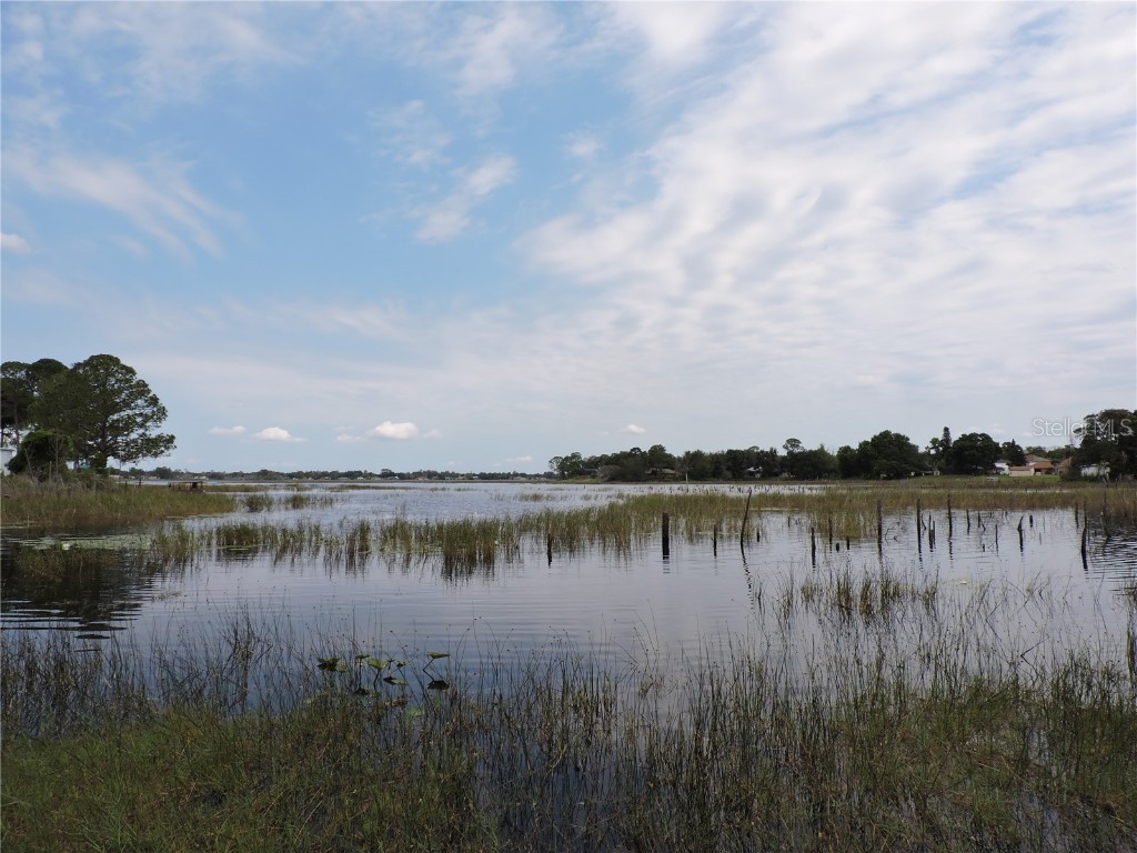 960 Peru Court Deltona FL 32738 - LAKE THERESA O6208221 image1