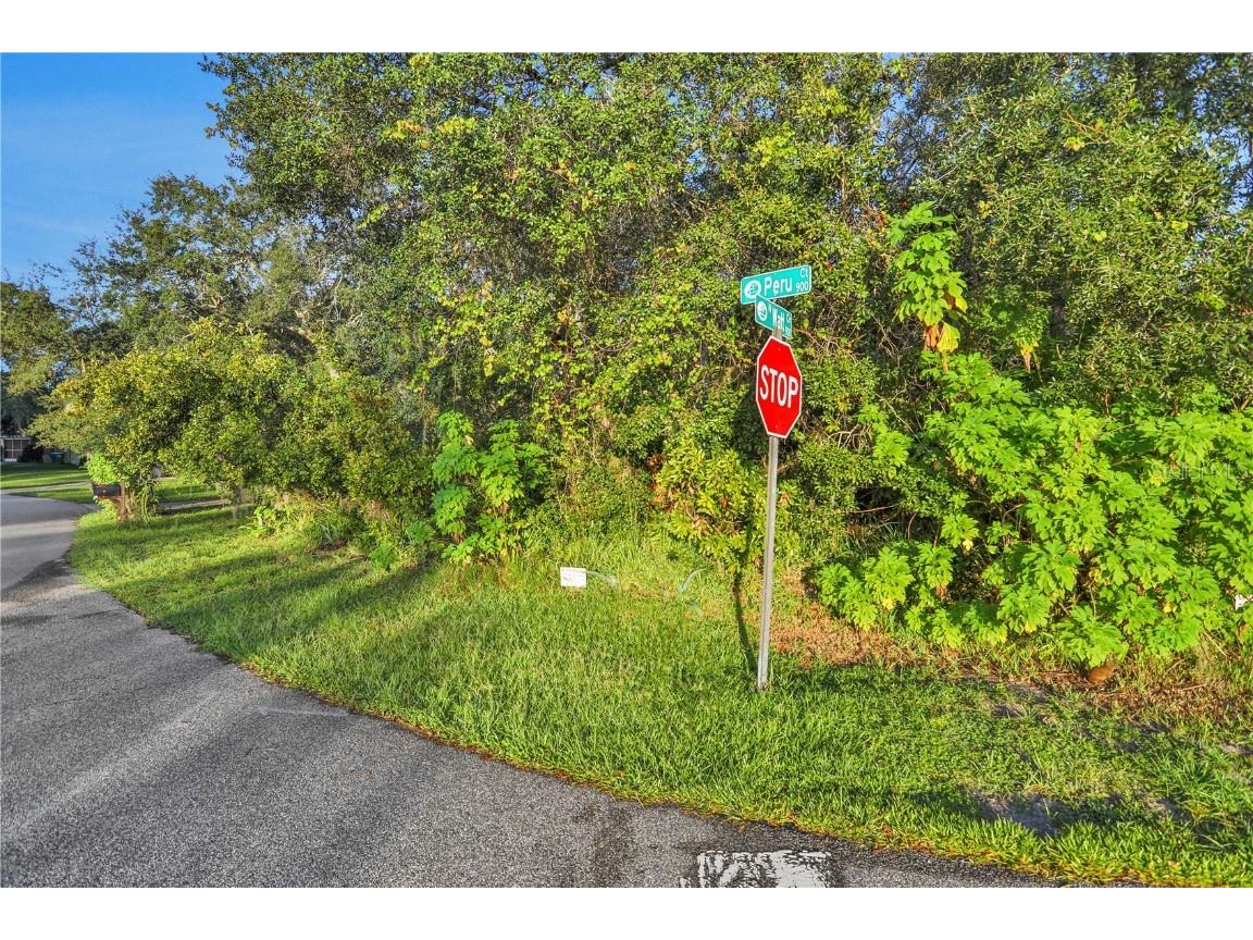 960 Peru Court Deltona FL 32738 - LAKE THERESA V4932476 image1