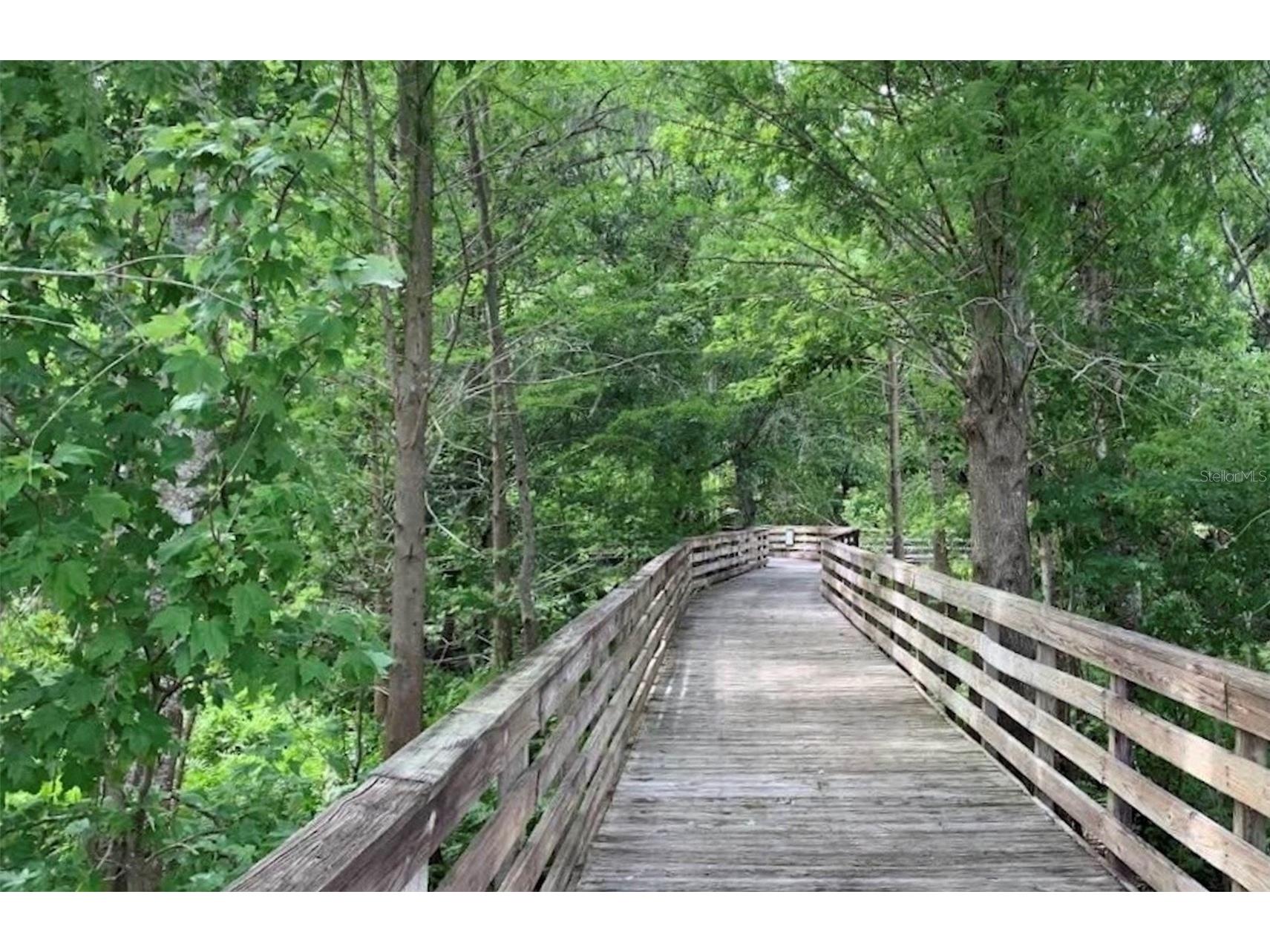 960 Southridge Trail Altamonte Springs FL 32714 O6412183 image42