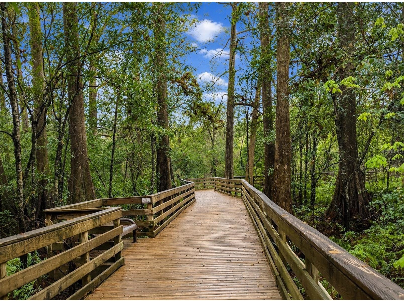 960 Southridge Trail Altamonte Springs FL 32714 O6412183 image43