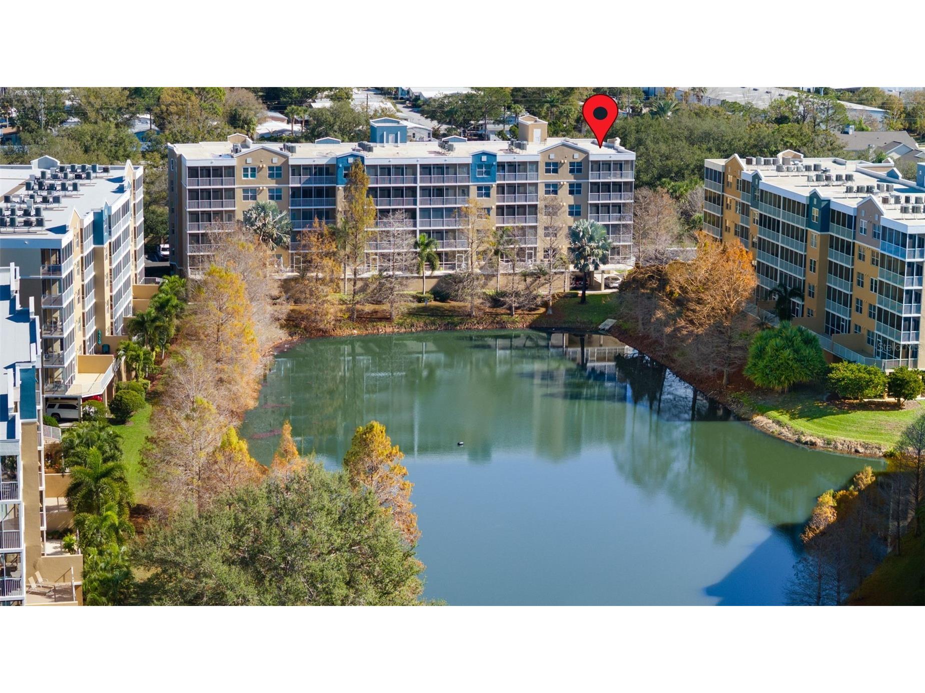 960 Starkey Road #2501 Largo FL 33771 TB8464689 image36