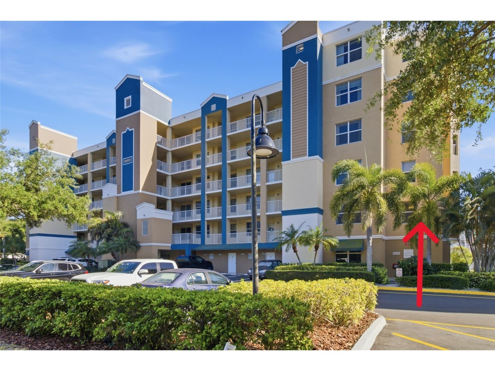 960 Starkey Road #3106 Largo FL 33771 TB8497666 image2