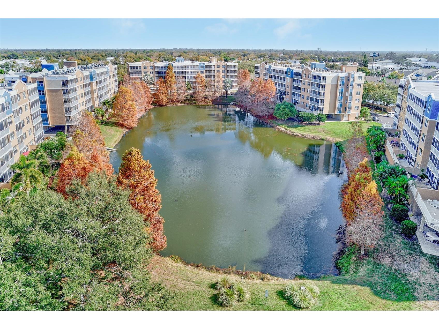 960 Starkey Road #3302 Largo FL 33771 TB8487313 image36