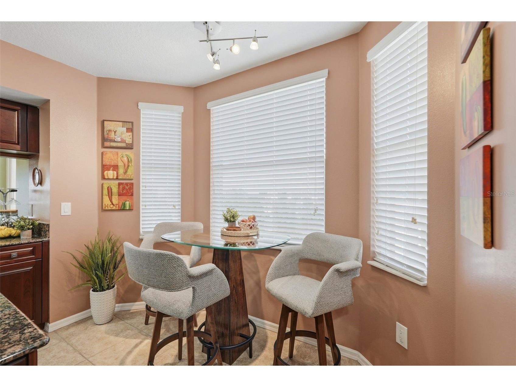 960 Starkey Road #5406 Largo FL 33771 TB8512108 image9