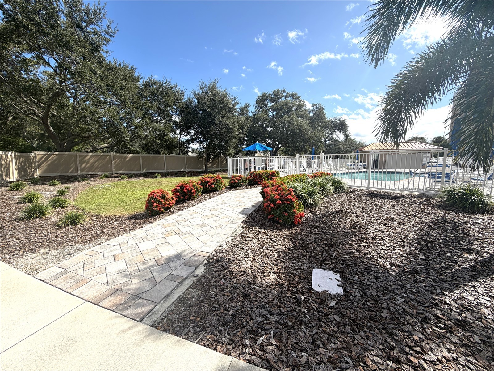 960 Starkey Road #7505 Largo FL 33771 TB8441545 image28