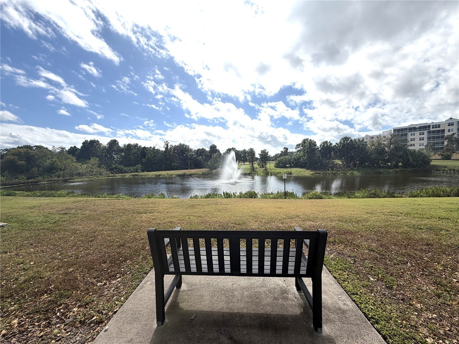 960 Starkey Road #7505 Largo FL 33771 TB8441545 image30