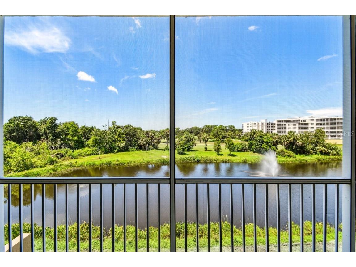 960 Starkey Road #8204 Largo FL 33771 TB8407657 image48