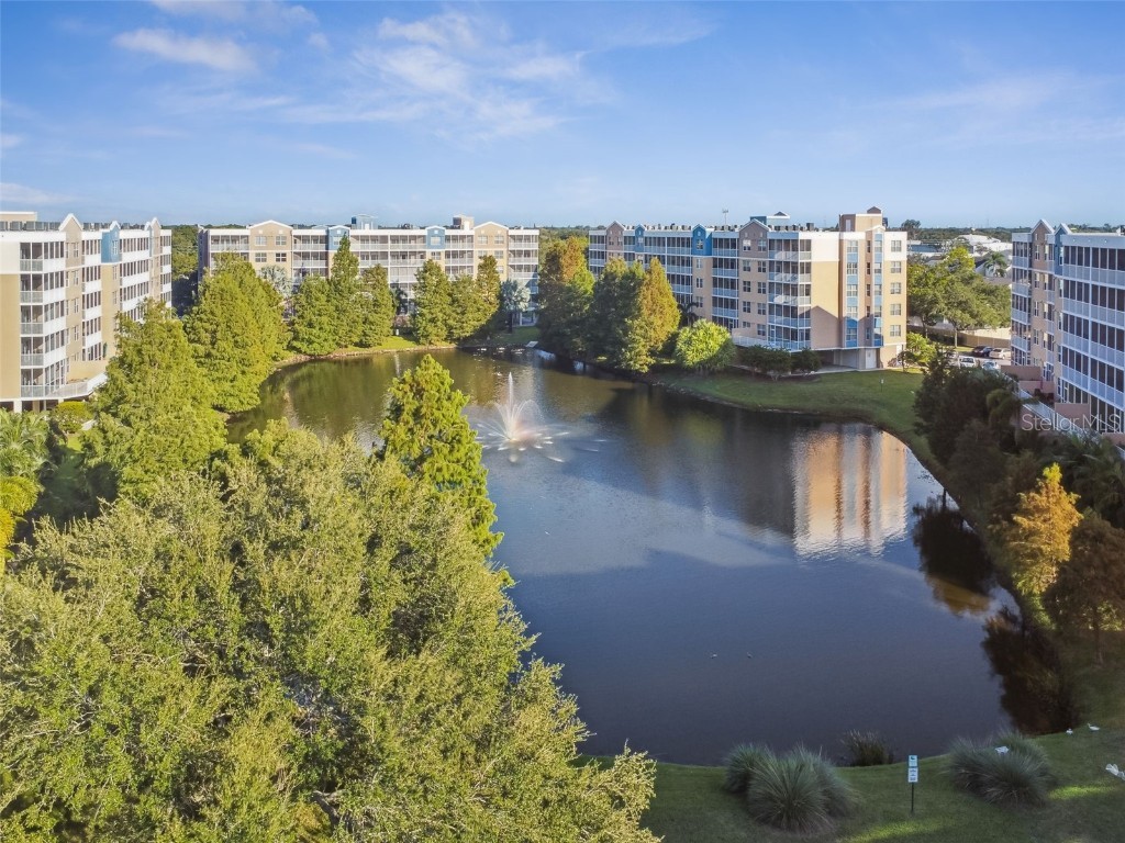 960 Starkey Road #8204 Largo FL 33771 TB8407657 image81