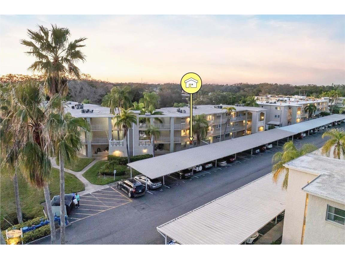 960 Virginia Street #107 Dunedin FL 34698 TB8425179 image1