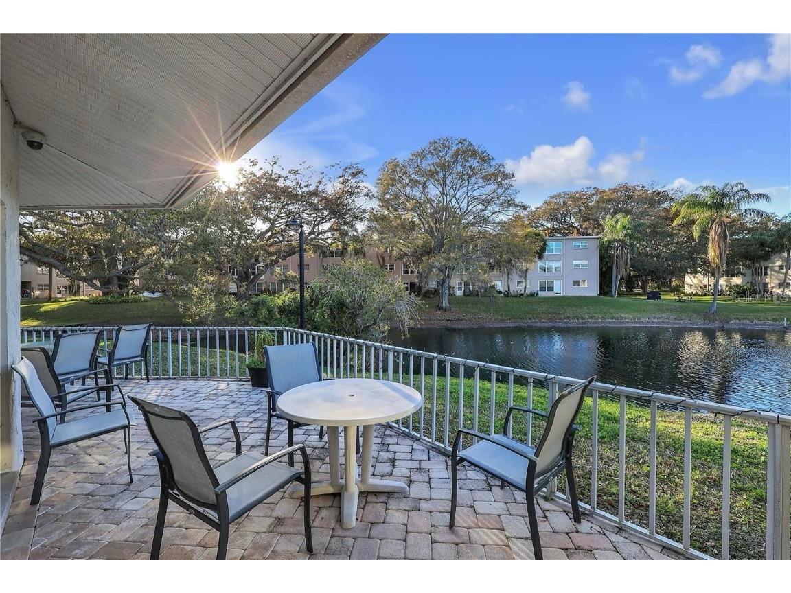 960 Virginia Street #107 Dunedin FL 34698 TB8425179 image27