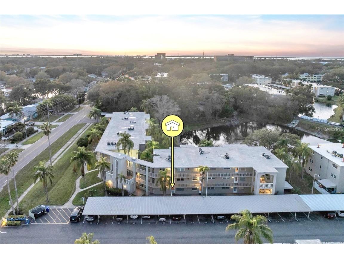 960 Virginia Street #107 Dunedin FL 34698 TB8425179 image6