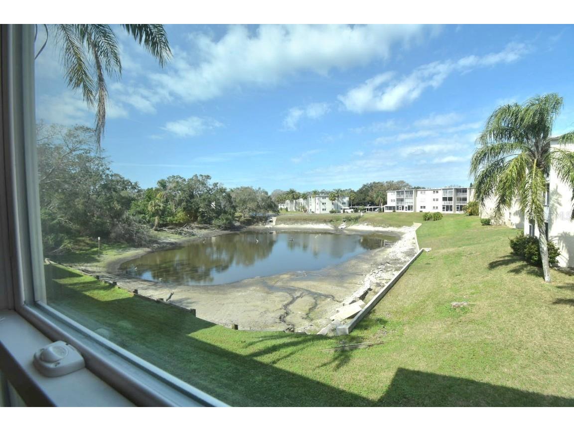 960 Virginia Street #205 Dunedin FL 34698 TB8350858 image22