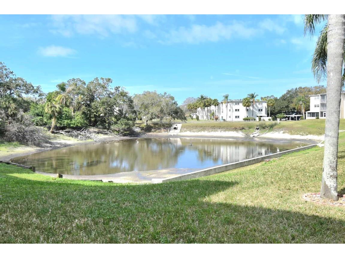 960 Virginia Street #205 Dunedin FL 34698 TB8350858 image24