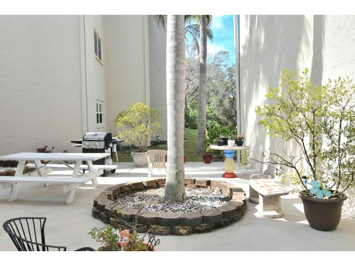 960 Virginia Street #205 Dunedin FL 34698 TB8350858 image4