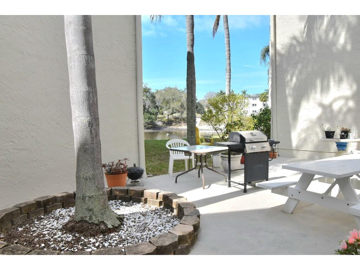 960 Virginia Street #205 Dunedin FL 34698 TB8350858 image5