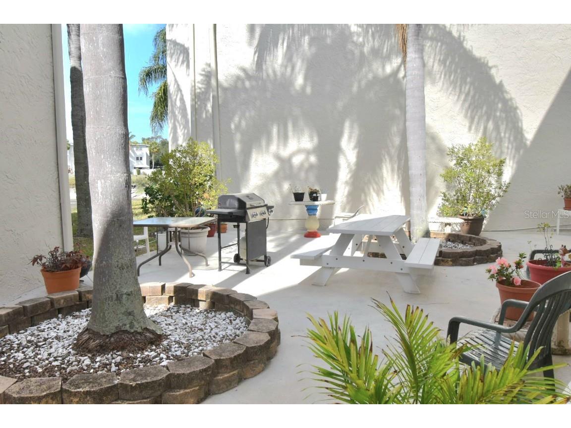 960 Virginia Street #205 Dunedin FL 34698 TB8350858 image6