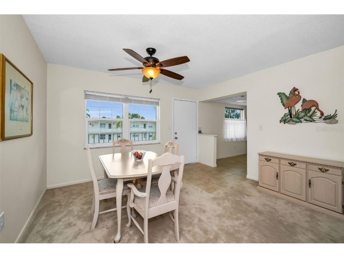 960 Virginia Street #307 Dunedin FL 34698 TB8450904 image11