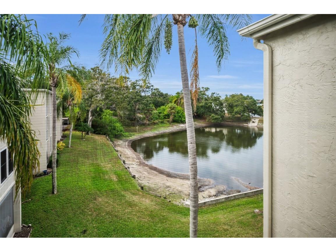 960 Virginia Street #307 Dunedin FL 34698 TB8450904 image18