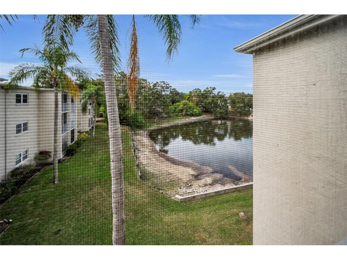 960 Virginia Street #307 Dunedin FL 34698 TB8450904 image19