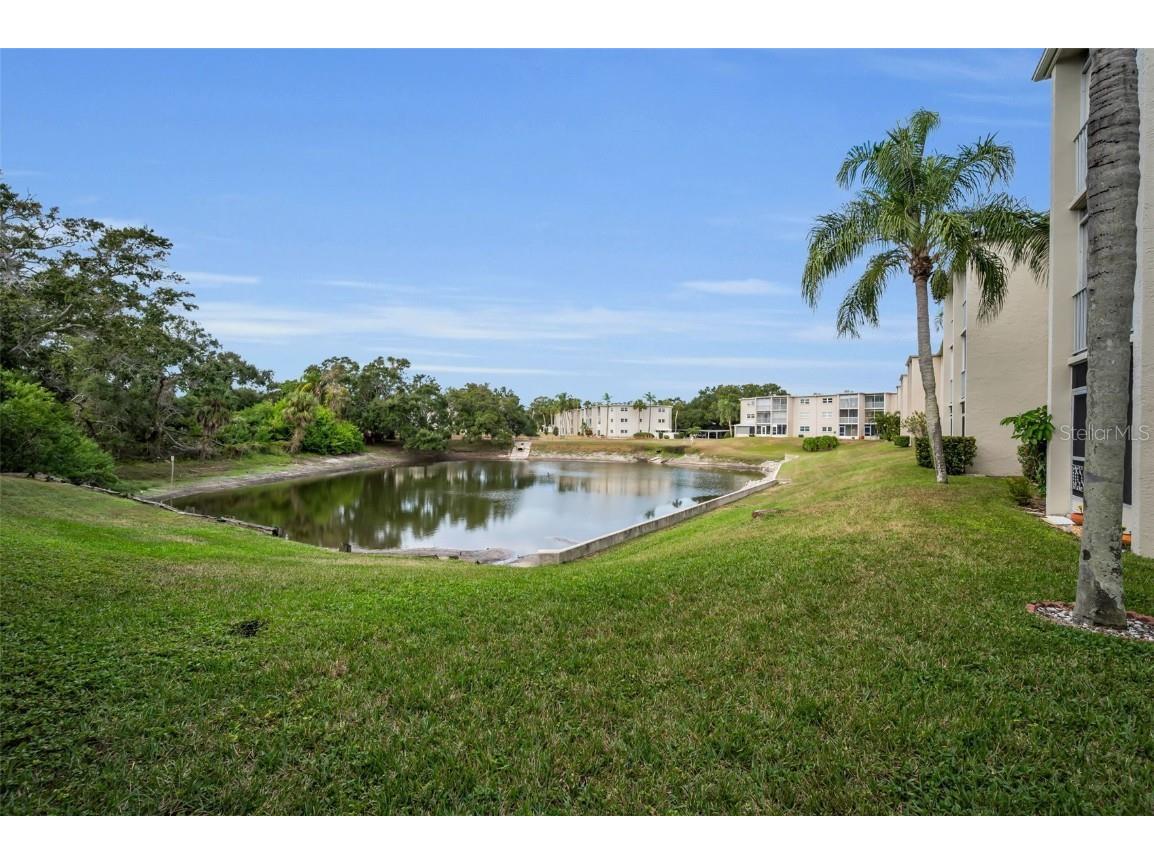 960 Virginia Street #307 Dunedin FL 34698 TB8450904 image22