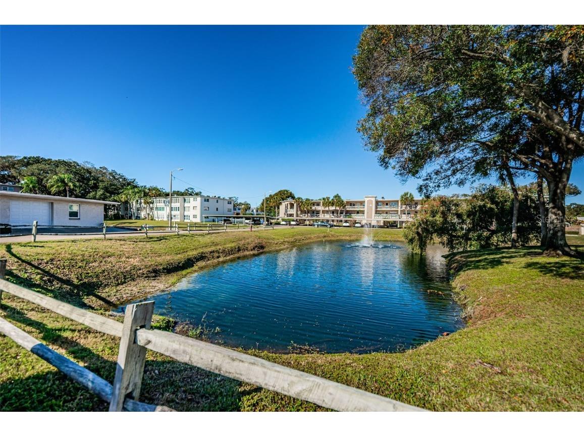 960 Virginia Street #307 Dunedin FL 34698 TB8450904 image49
