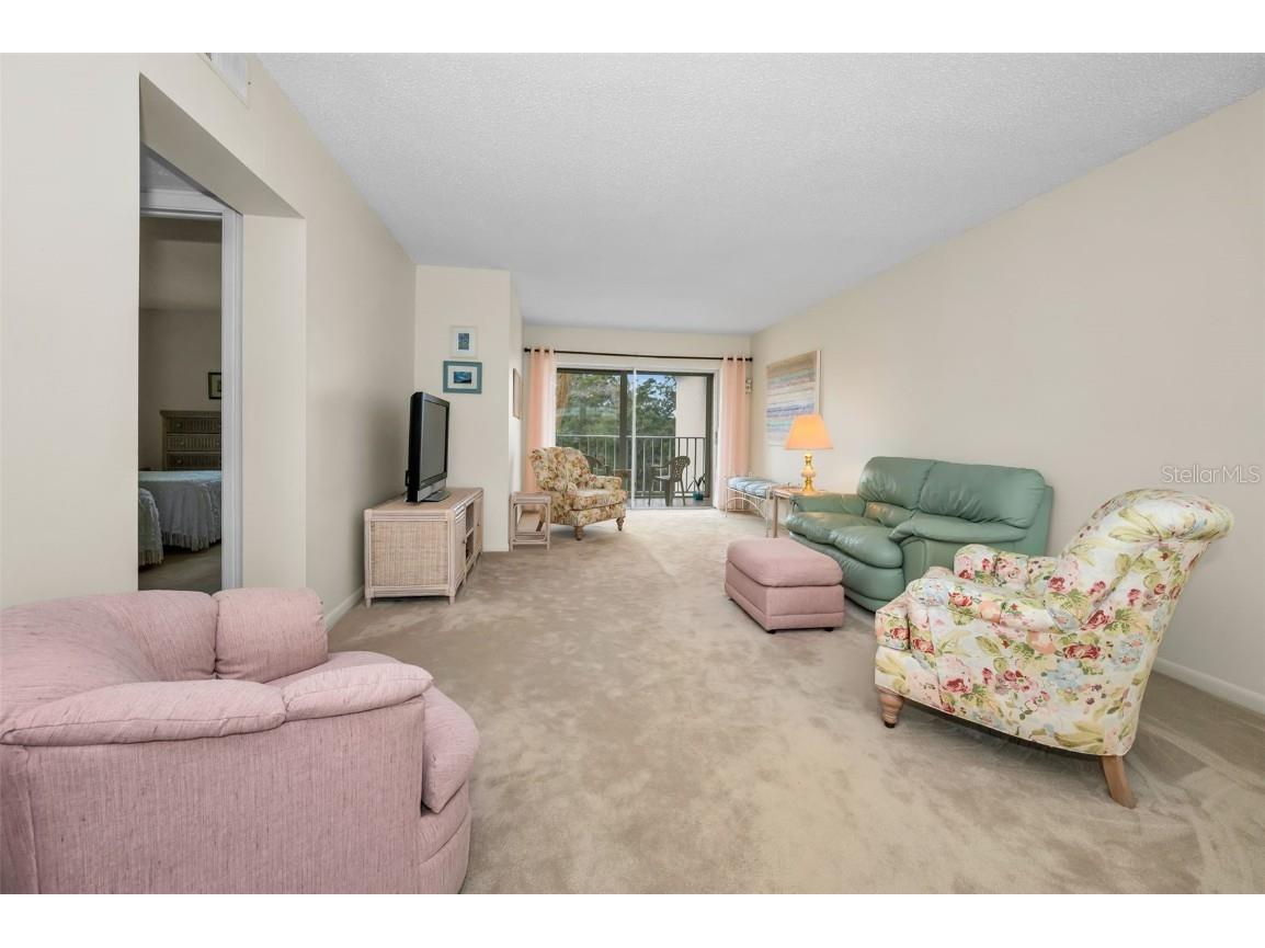 960 Virginia Street #307 Dunedin FL 34698 TB8450904 image5