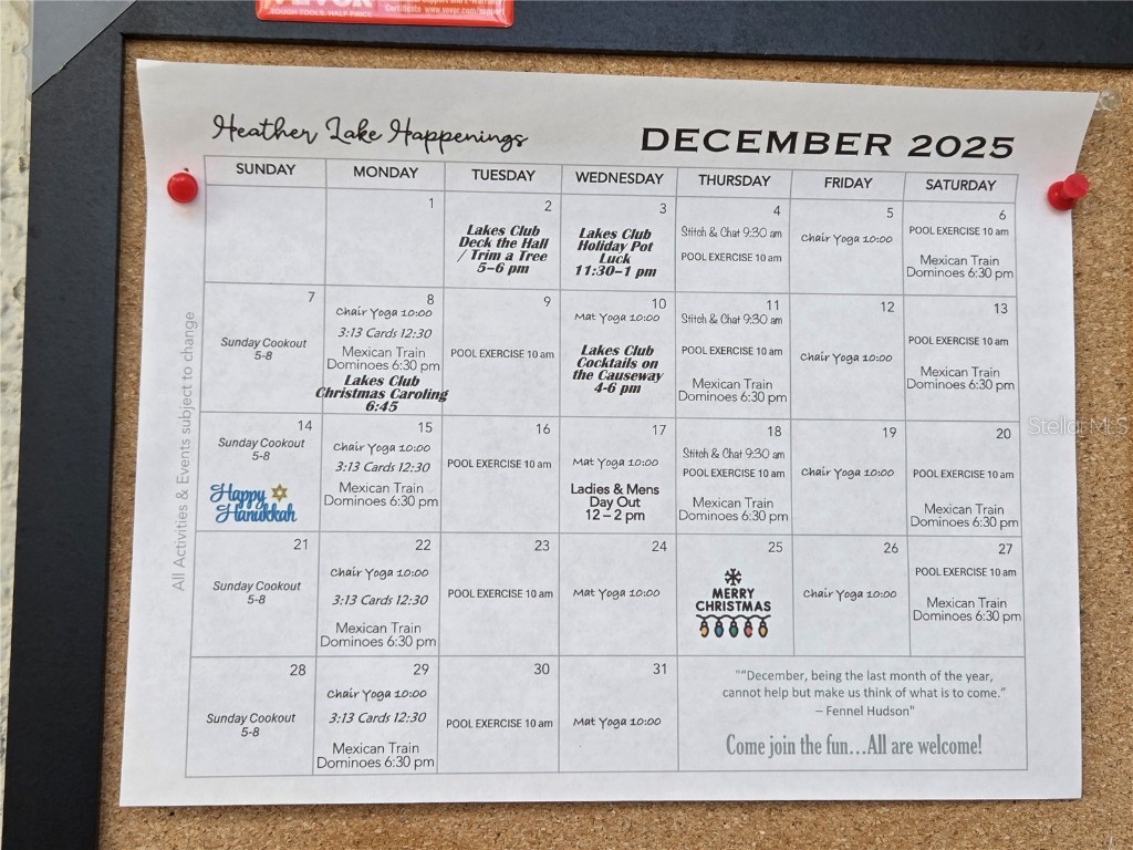 960 Virginia Street #307 Dunedin FL 34698 TB8450904 image57