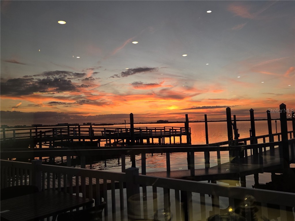 960 Virginia Street #307 Dunedin FL 34698 TB8450904 image59