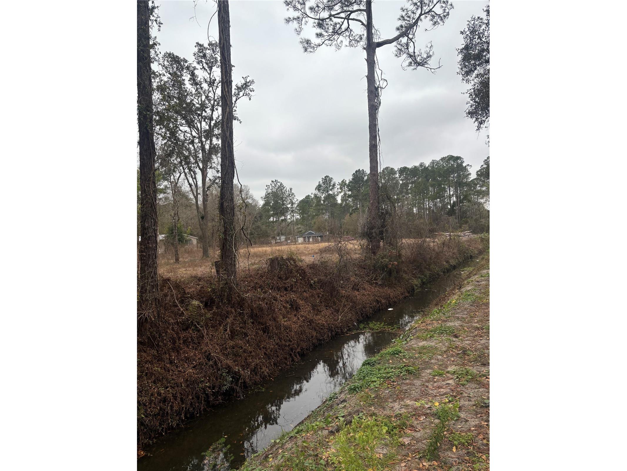 9600 Light Avenue Hastings FL 32145 FC318649 image11