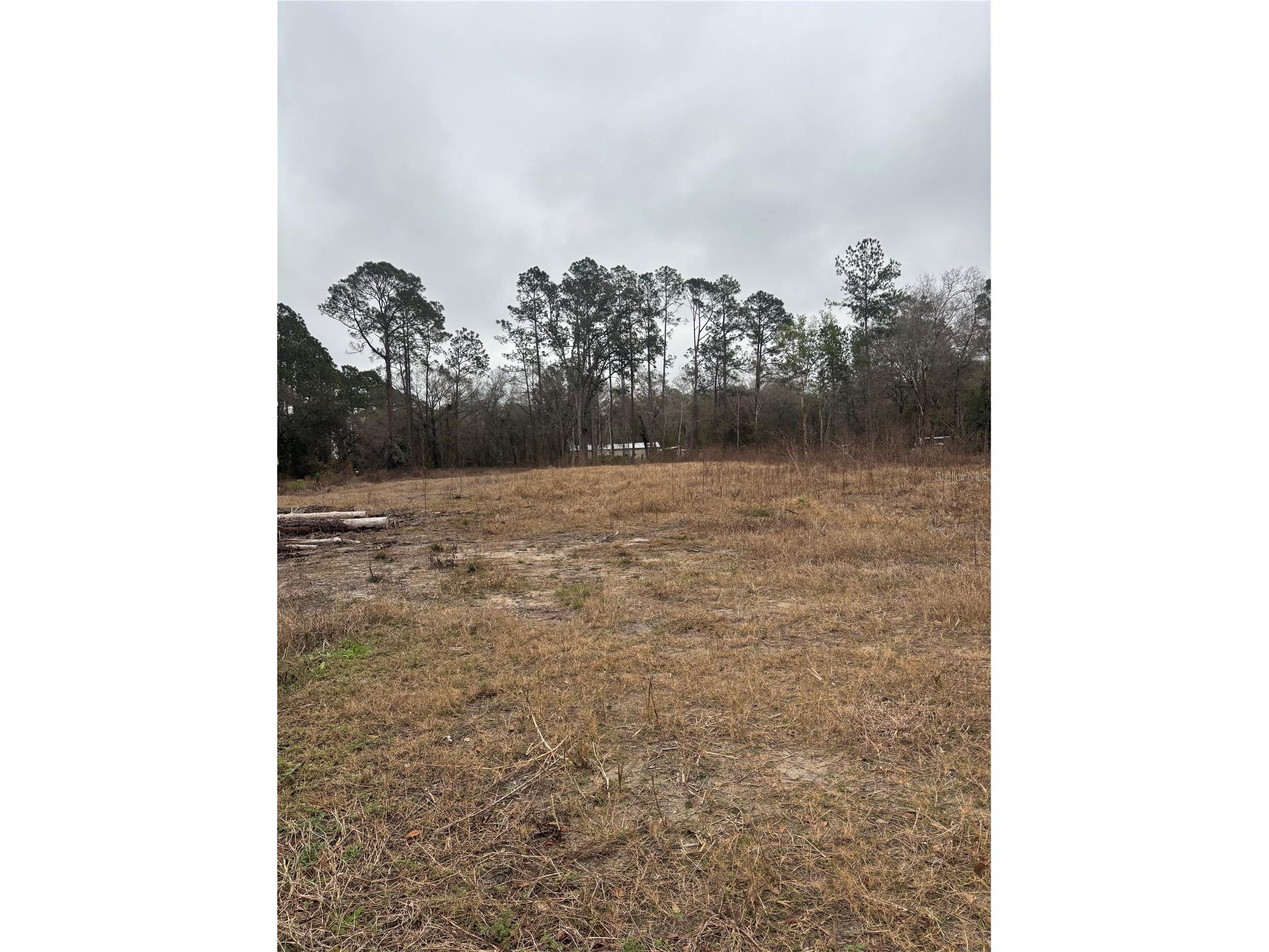 9600 Light Avenue Hastings FL 32145 FC318649 image12