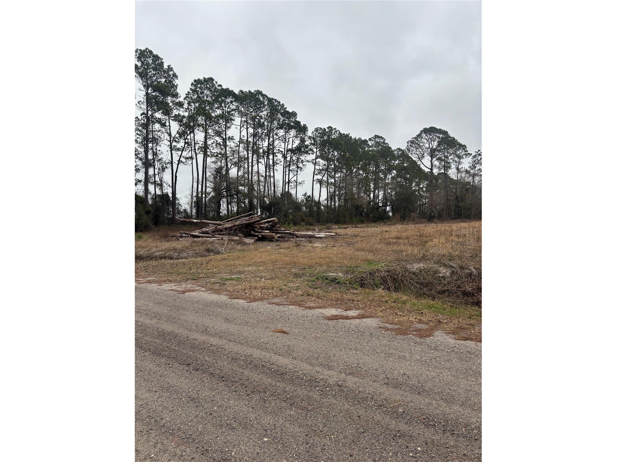 9600 Light Avenue Hastings FL 32145 FC318649 image13