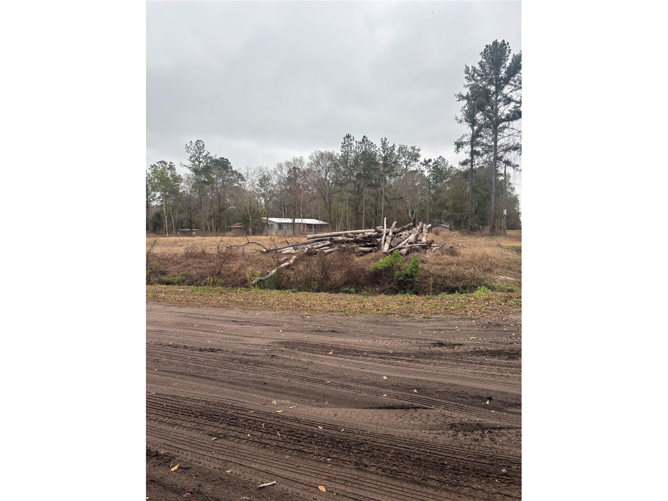 9600 Light Avenue Hastings FL 32145 FC318649 image4